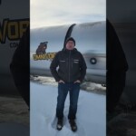 Omnivore Composter working great in cold climate. Omnivore Composter working great in cold climate.